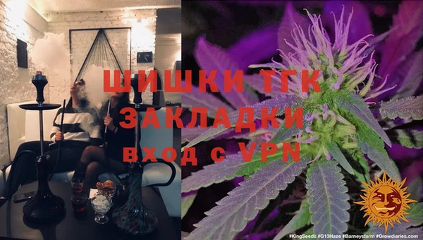 гидра Алексеевка