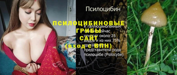 гидра Алексеевка