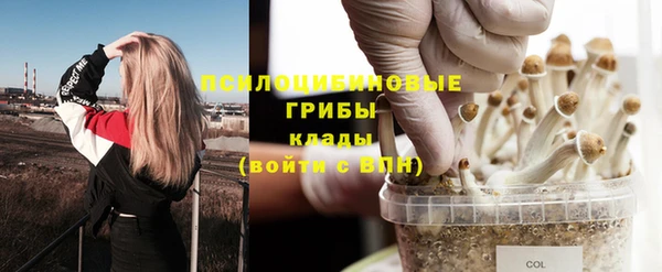 марки nbome Алзамай