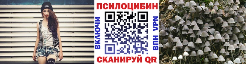 Галлюциногенные грибы мицелий Жигулёвск